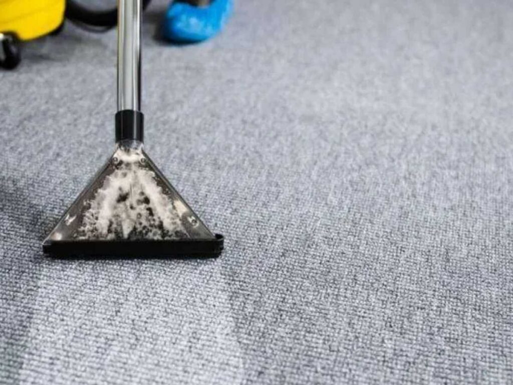 How Often Should You Change Carpet? The Definitive Guide to Carpet Lifespan